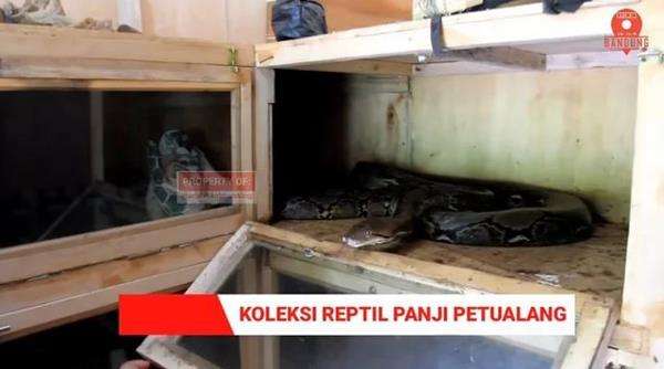 Penampakan rumah Panji Petualang.