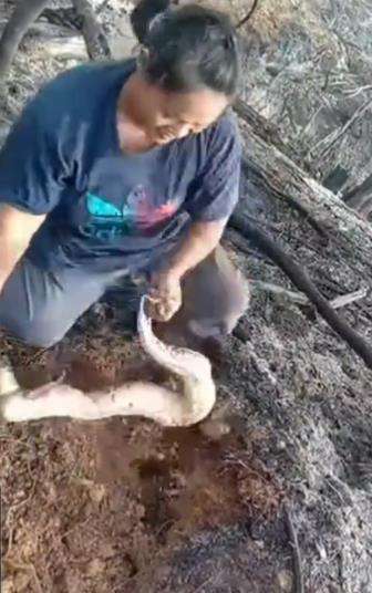Emak-emak berburu ular mirip cari cacing.