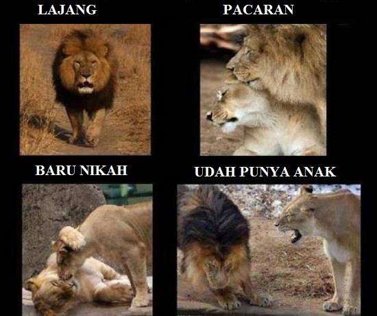 Realita saat masih pacaran vs setelah menikah.
