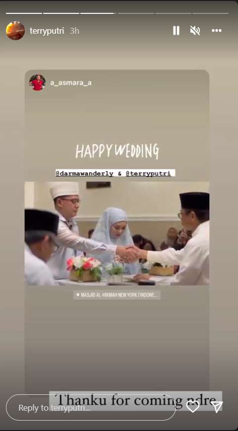 potret pernikahan terry putri