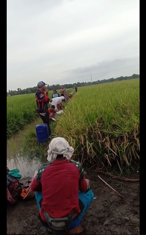 Ibu-ibu petani sholat di tengah sawah