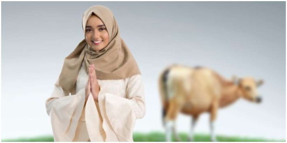 Ucapan Idul Adha yang Menyentuh Hati