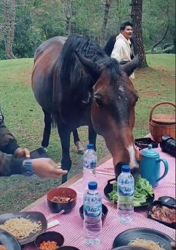 pemuda sedang piknik