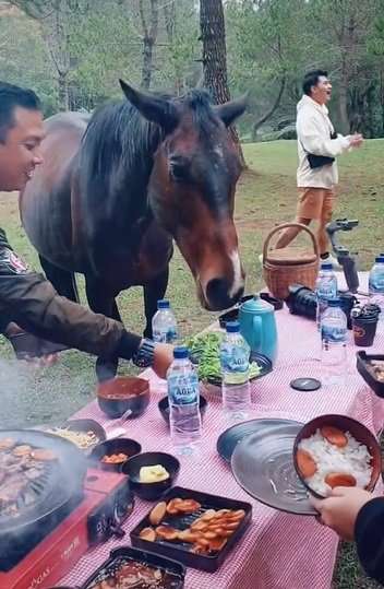 pemuda sedang piknik