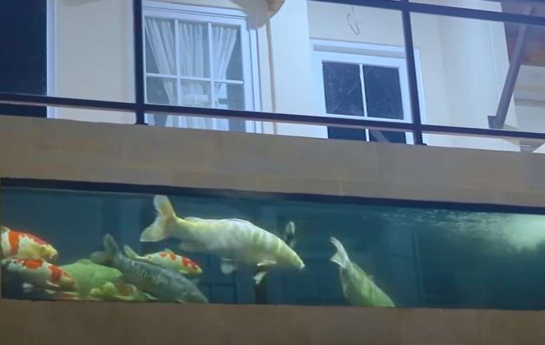 Kolam ikan Babe Cabita