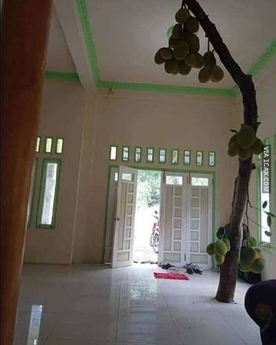 barang nyeleneh di dalam rumah