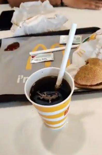 Hiiyy.. makan di McDonald's temukan kadal mengambang di gelas minuman.