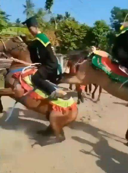 Wisudawan diarak keliling kampung naik kuda.