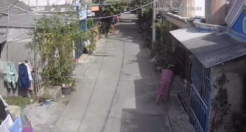 viral emak-emak usir kucing
