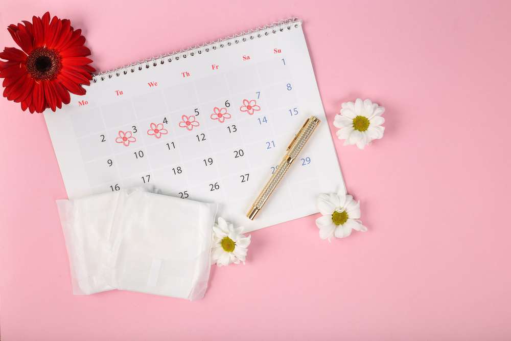 Siklus Menstruasi