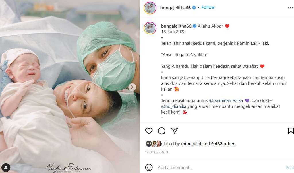 Bunga Jelita