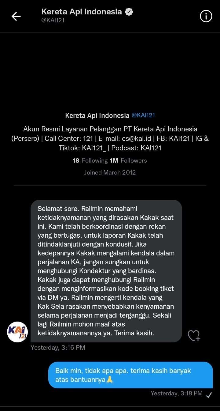 pelecehan seksual di kereta