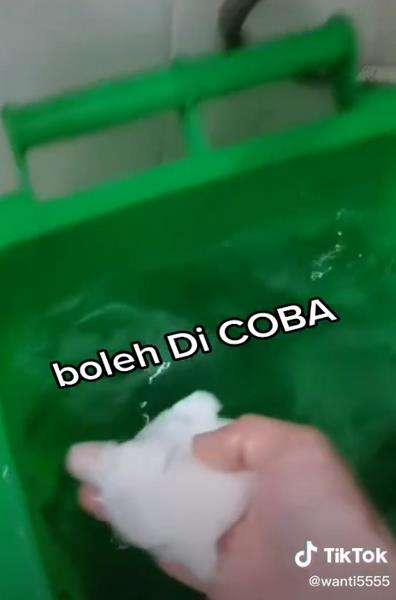 Basmi kecoak dengan tisu basah.