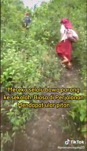 dua bocah sd