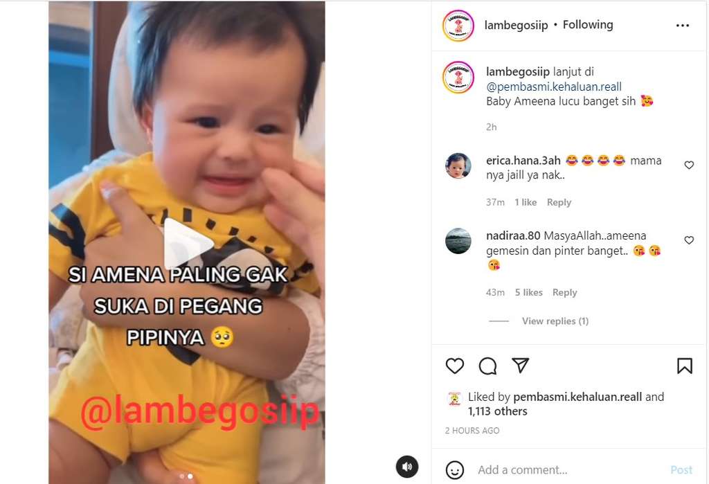 Ameena bikin gemas