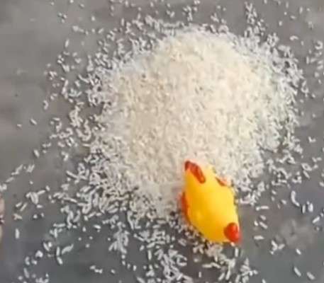 Ayam mainan