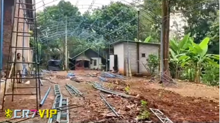 Resepsi pernikahan di kebun Resepsi pernikahan di kebun