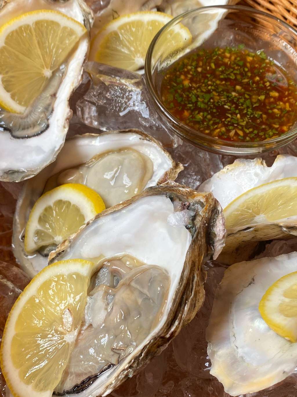 Pacific Oyster dari Sumatra