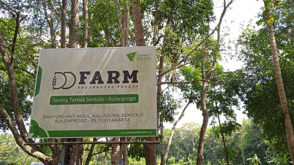 dd farm yogyakarta