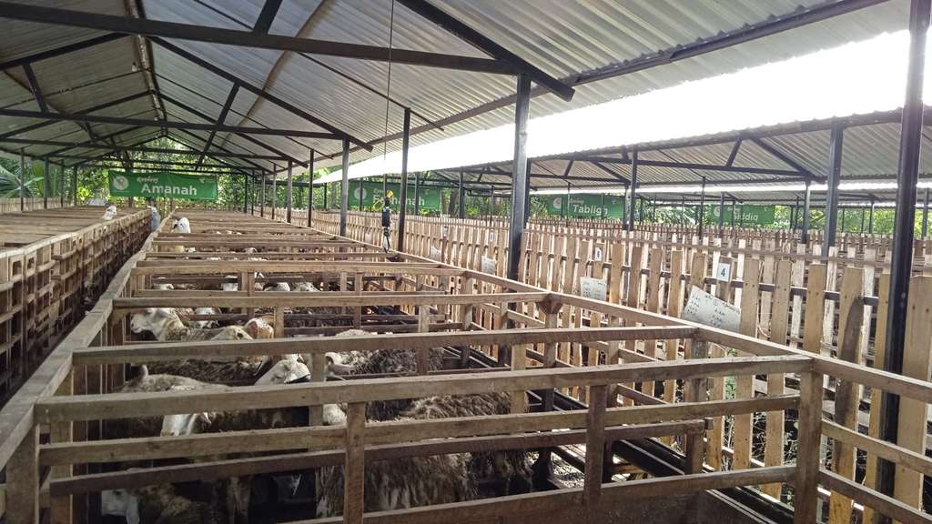 dd farm yogyakarta