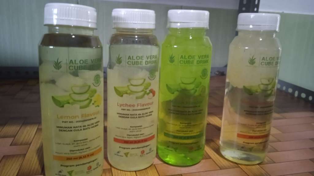 aloe vera gunungkidul
