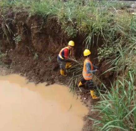 Viral pembukaan lahan proyek, pekerja temukan benda tak terduga.