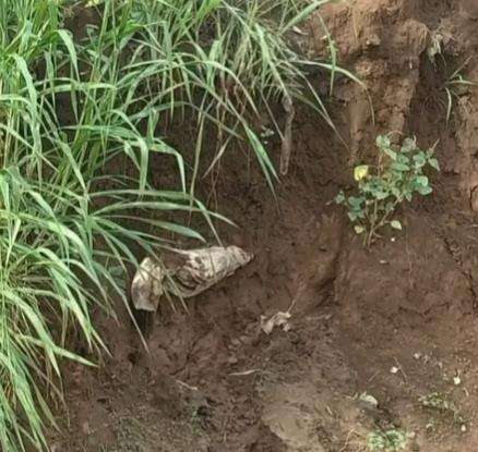 Viral pembukaan lahan proyek, pekerja temukan benda tak terduga.