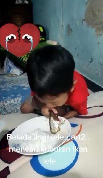 Mau ngakak tapi kasihan, bocah tangisi ikan lele goreng yang jadi lauk makannya.