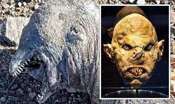 Dibilang mirip Orc dalam film Lord of the Rings.