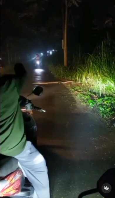 video ular terlindas sepeda motor