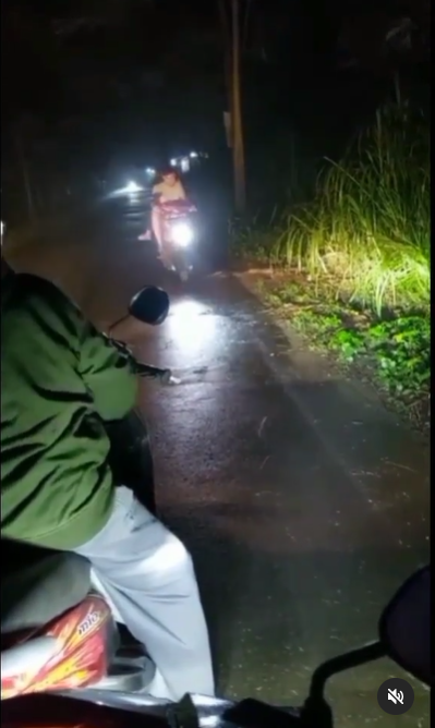 video ular terlindas sepeda motor