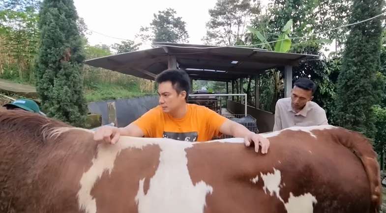 baim