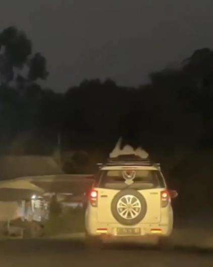 Viral sosok mirip kuntilanak nebeng di atap mobil.