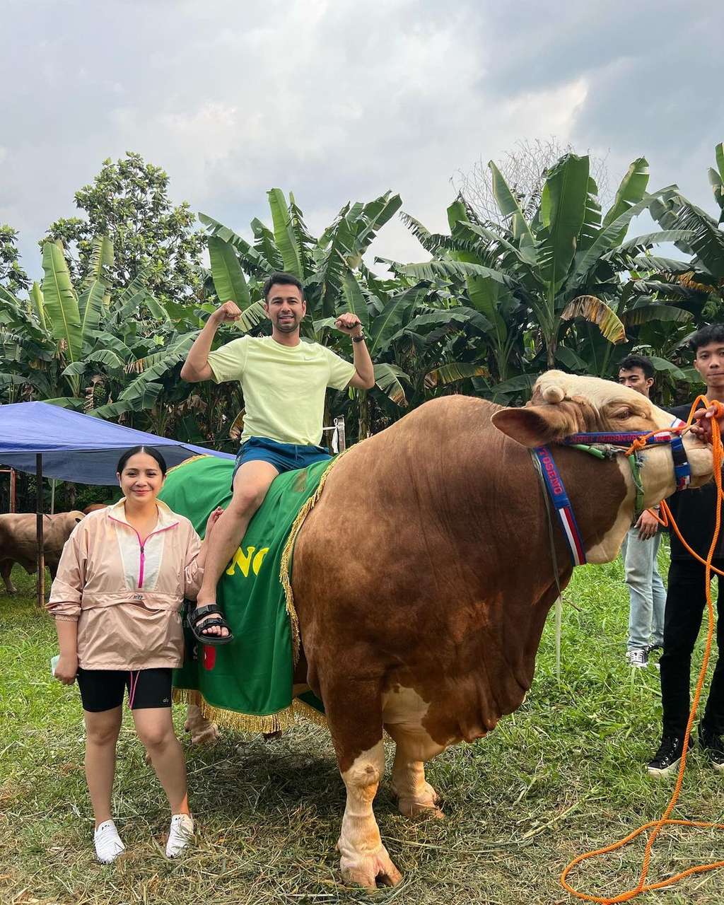 raffi ahmad kurban 20 sapi