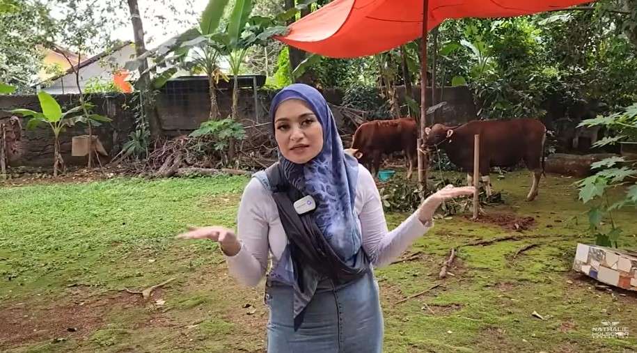 Nathalie Holscher berkurban dua sapi Nathalie Holscher berkurban dua sapi