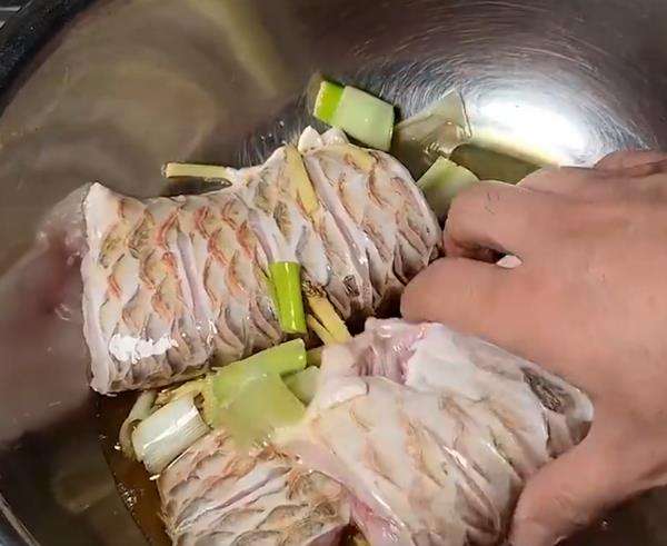 Mati lemas kehabisan oksigen, ikan arwana silver jadi lauk.