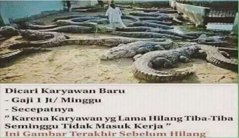 13 Lowongan Kerja Nyeleneh