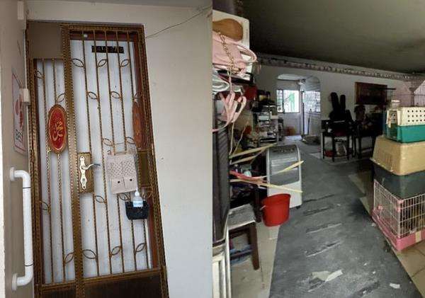 Pelihara lebih 50 kucing, tetangga tak pernah buka jendela.