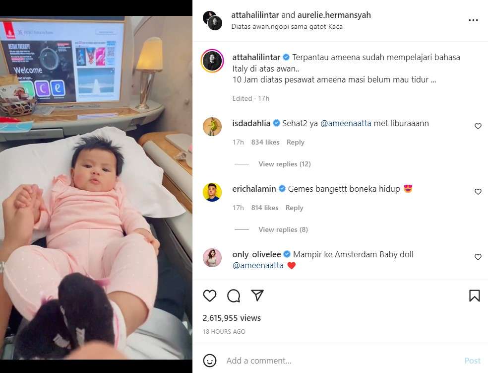 Ameena bikin gemas