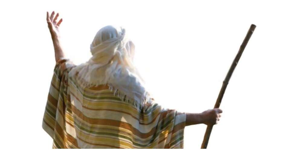 Kisah Nabi Sulaiman, Burung Hud-hud, dan Ratu Balqis