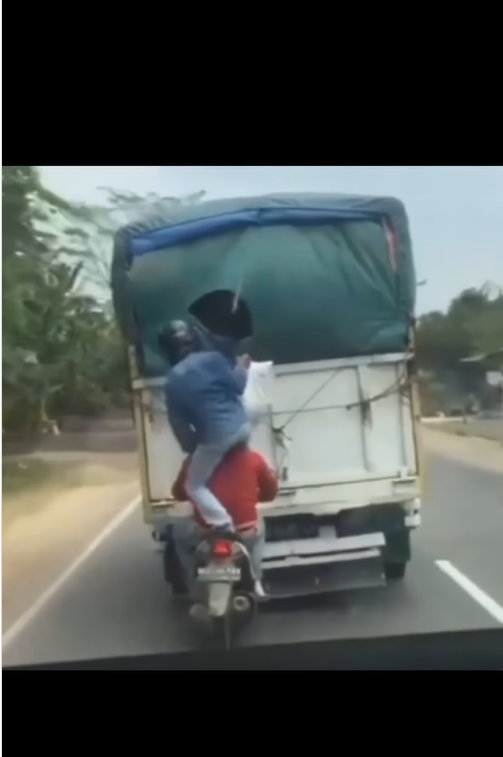 aksi bajing loncat