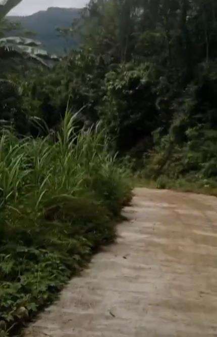 Niat healing berdua sama pacar malah masuk hutan seram.