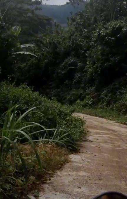 Niat healing berdua sama pacar malah masuk hutan seram.