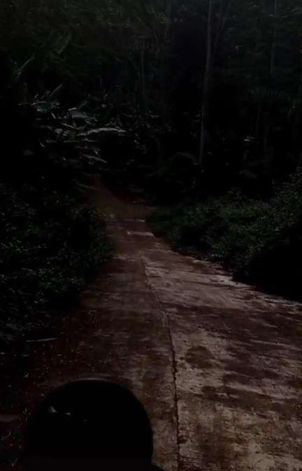 Niat healing berdua sama pacar malah masuk hutan seram.