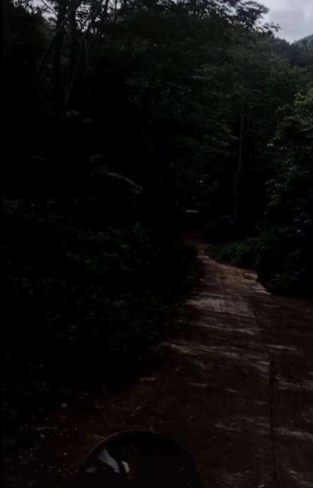 Niat healing berdua sama pacar malah masuk hutan seram.