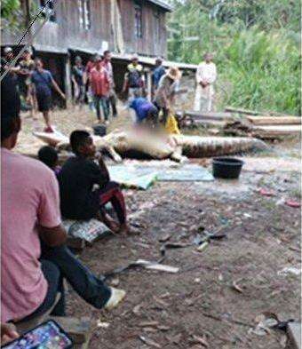 Proses pembelahan perut buaya di Tarakan.