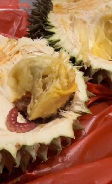 Tantangan belah durian di TikTok.