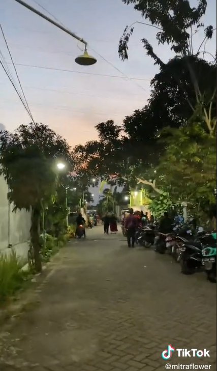 Viral Pernikahan di Gang Sempit Bak di Gedung Mewah, Dekorasinya Bikin Takjub