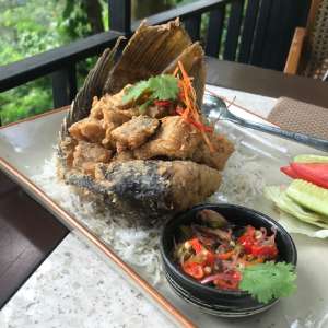 Gurame Saus Thailand.