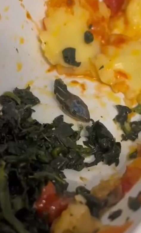 kepala ular di makanan